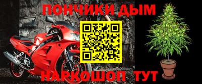 прущие грибы Малгобек