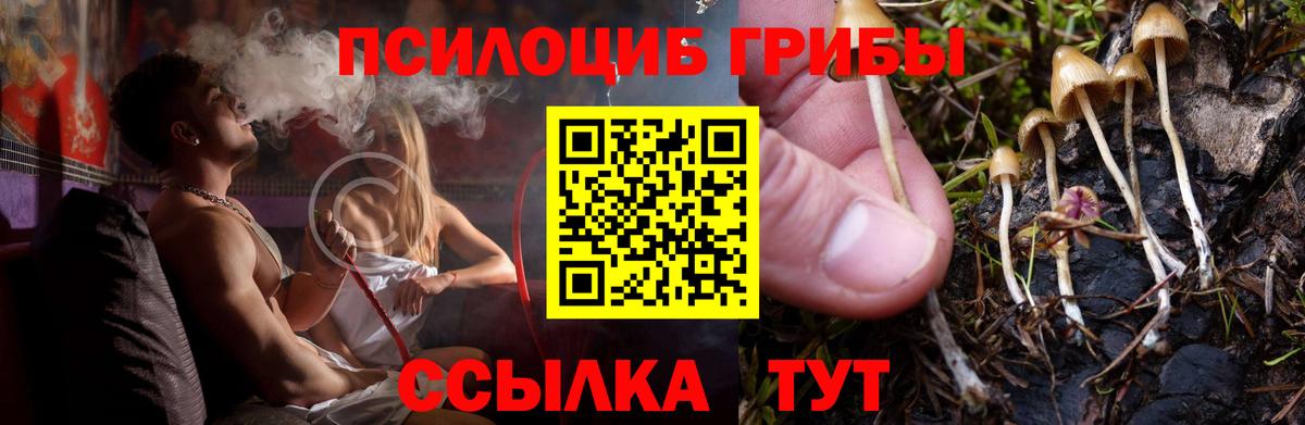 Галлюциногенные грибы прущие грибы  Вход с VPN  Семёнов 